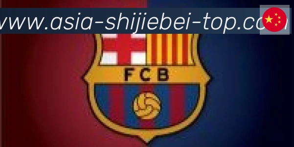 2026世界杯买球入口合作伙伴
